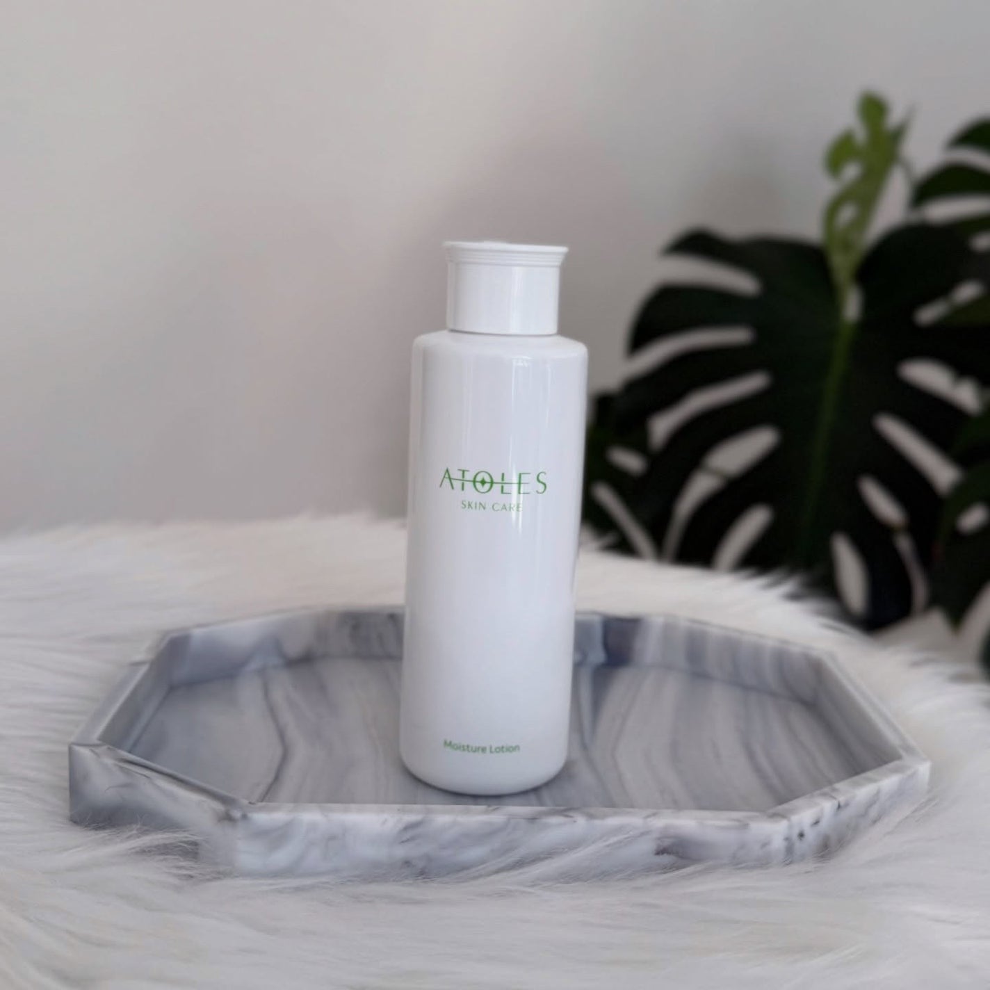 モイスチャーローション/ATOLES SKINCARE/化粧水を使ったクチコミ(2枚目)