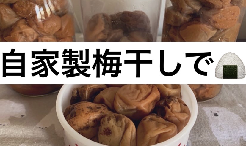 食中毒が増える時期に殺菌効果があると言われている梅干しが大活躍

今まではおにぎりの具に入れたりお弁当に入れたりしていました
最近情報番組かなんかでやっていたのが
梅干しを炊飯器にぶち込んで炊いちゃう方法でした♡
梅干しは2合のお米に2、3