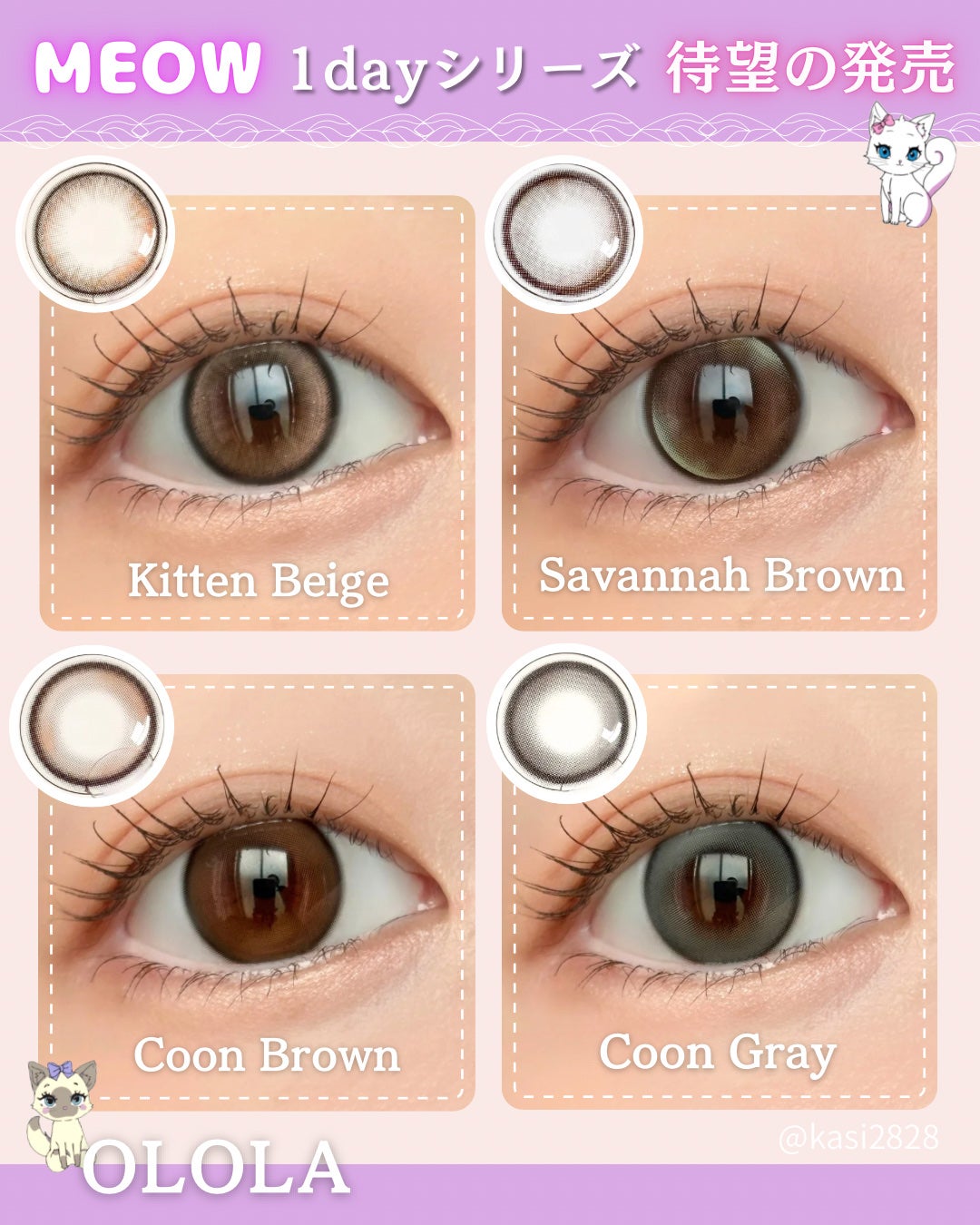 IDIFF MEOW 1DAY/OLOLA/ワンデー(1DAY)カラコンを使ったクチコミ(1枚目)
