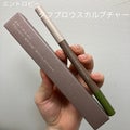 タフブロウスカルプチャー / ENTROPY
