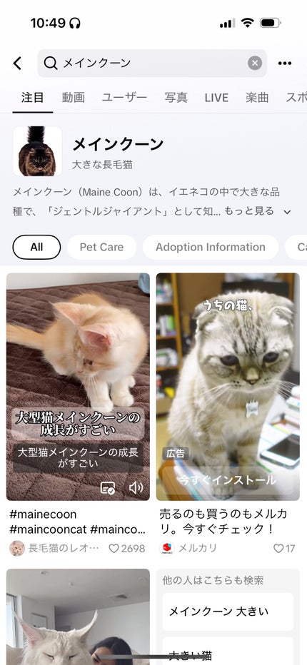 エッセンシャル リップチーク タップ/CLIO/ジェル・クリームチークを使ったクチコミ(1枚目)