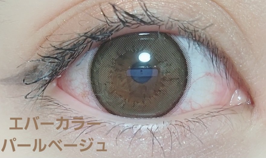 エバーカラーワンデー ナチュラル/エバーカラー/ワンデー（１DAY）カラコンを使ったクチコミ（3枚目）