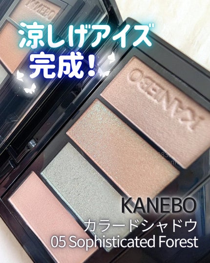 カラードシャドウ/KANEBO/アイシャドウパレットを使ったクチコミ(1枚目)