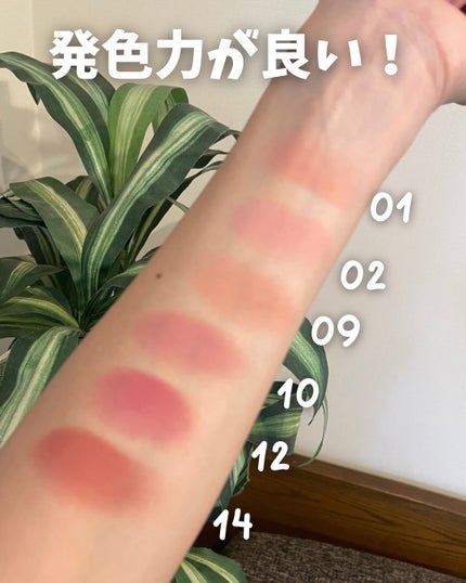 シルバーパース ムースクリーム リップ&チーク/oiad/ジェル・クリームチークを使ったクチコミ(6枚目)