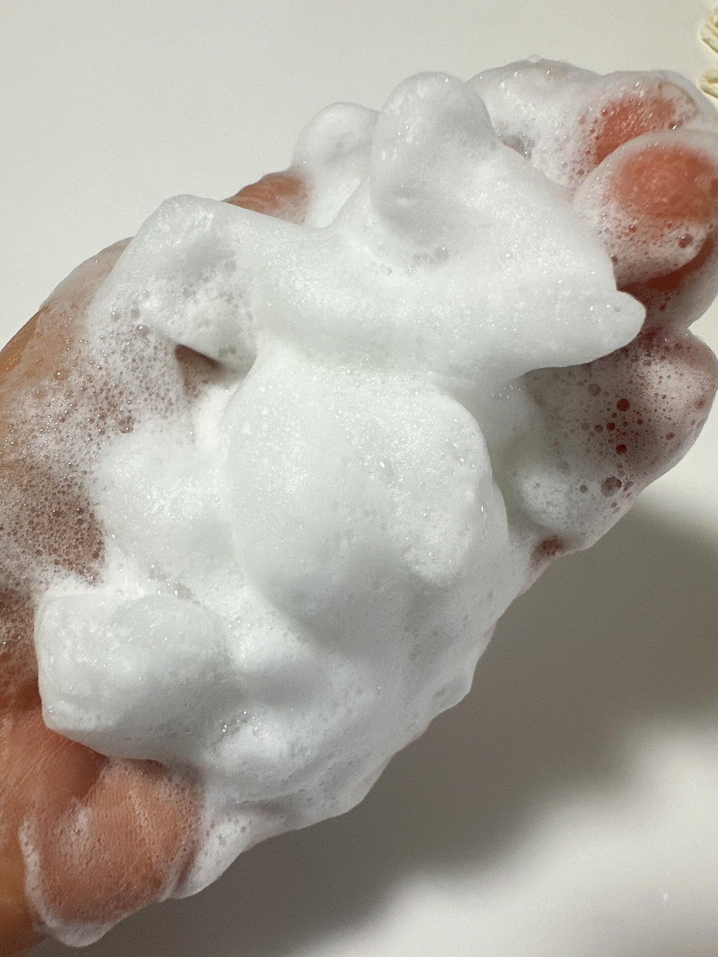 重曹すっきり洗口液/歯磨撫子/マウスウォッシュ・スプレーを使ったクチコミ(6枚目)