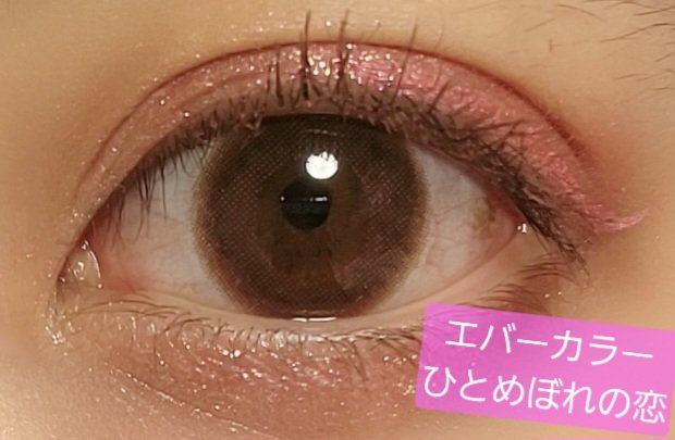 エバーカラーワンデー ナチュラル/エバーカラー/ワンデー（１DAY）カラコンを使ったクチコミ（1枚目）