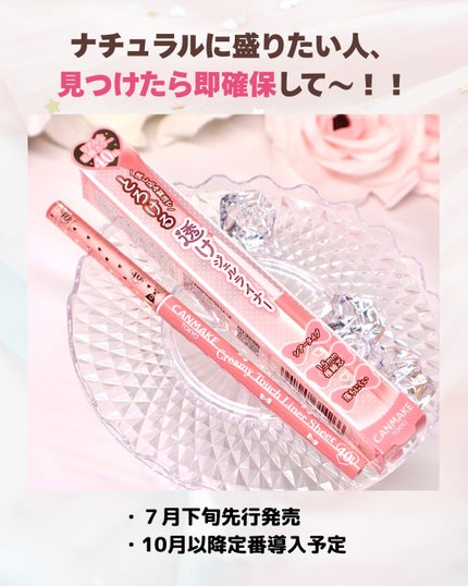 クリーミータッチライナー/キャンメイク/ジェルアイライナーを使ったクチコミ(6枚目)