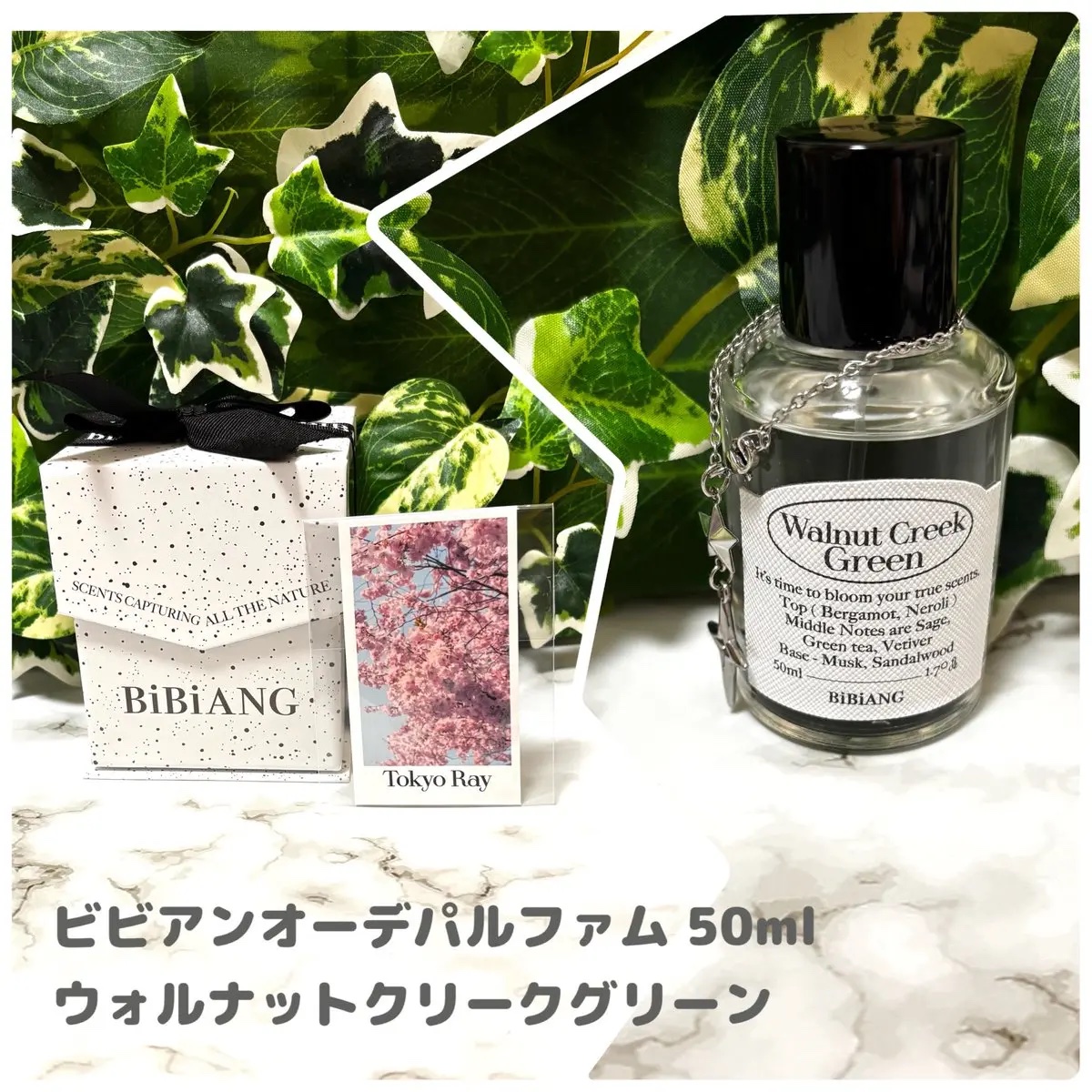 𓂃 𓈒𓏸◌

꙳ 〰︎︎ Bibiang Japan Official 様 

꙳ 〰 @bibiang_japan 

*.#PR #BiBiANG #ビビアン 

✧︎ ビビアンオーデパルファム  50ml
ウォルナットクリークグ