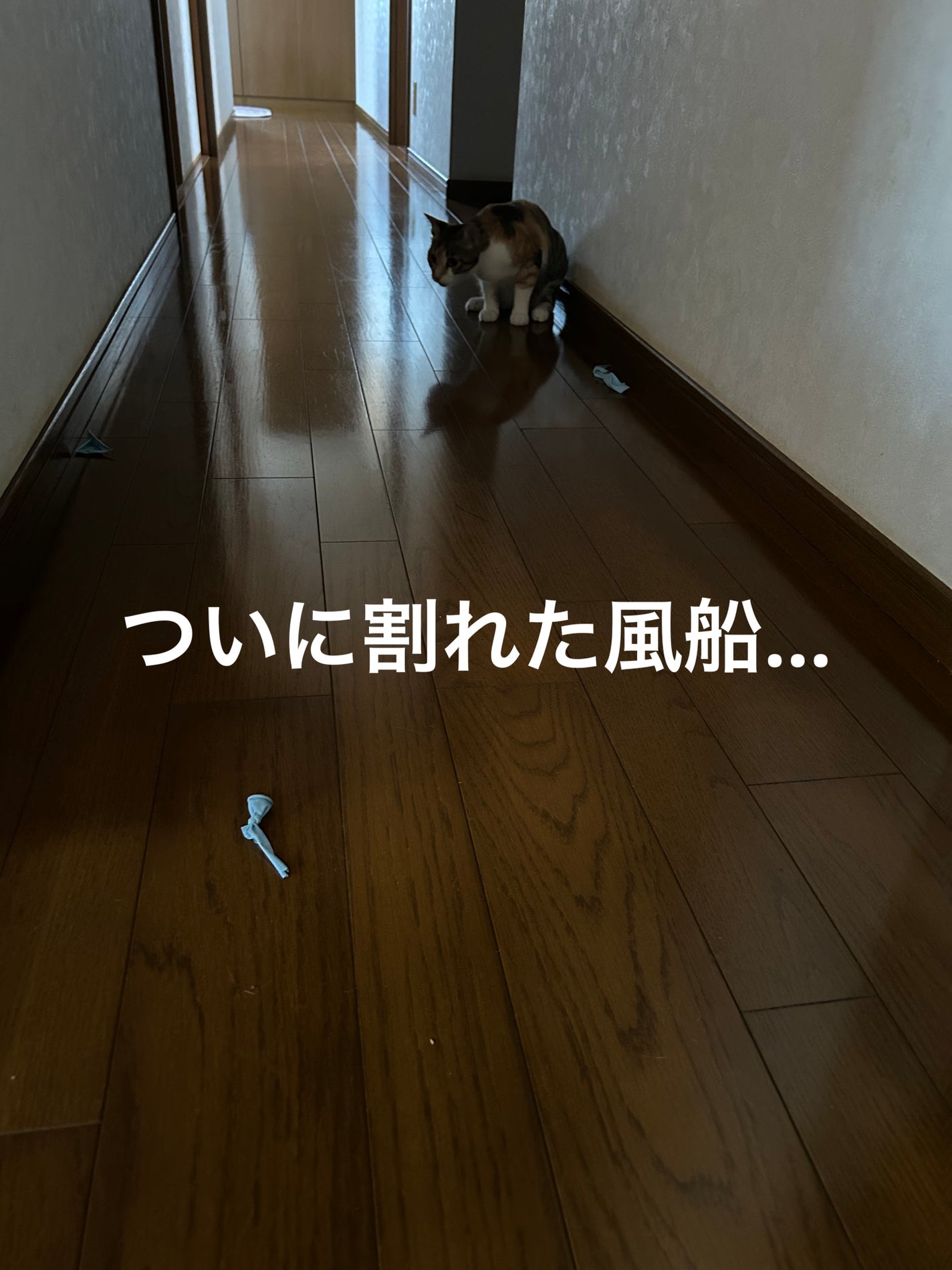 ðââ¬ã«ãããðŸ on LIPS ãæ¥ææ¥ãããããåšãèšããŸãã颚è¹ã§éãã§ãããã³ã°ã«ãããé ..ãïŒ3æç®ïŒ