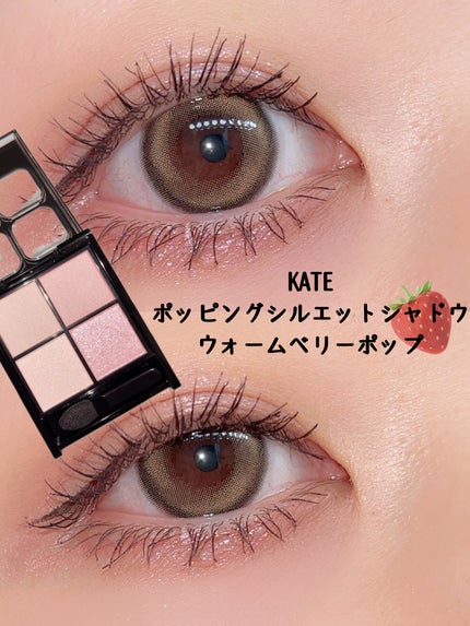 YSL メイクミーブラッシュ パウダー/YVES SAINT LAURENT BEAUTE/パウダーチークを使ったクチコミ(1枚目)