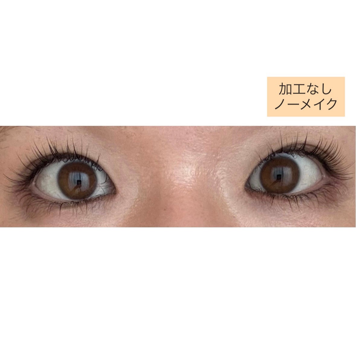 フェニックス アイラッシュサポートジェル/オデットアイラッシュコスメティクス/まつげ美容液を使ったクチコミ(4枚目)