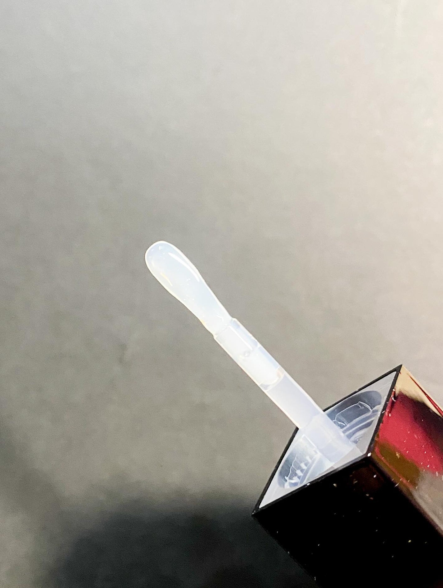 The Black Lip Plumper Tint/Keep in Touch/リップグロスを使ったクチコミ(2枚目)