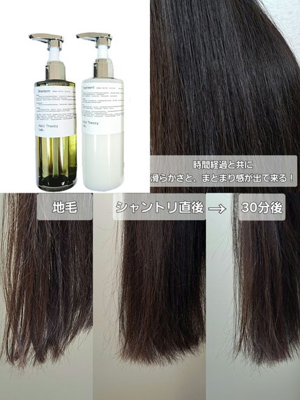 ヘアセオリーラボ セラムイン シャンプー /トリートメント シャンプー(300mL)/Hair Theory Lab®/市販シャンプーの画像