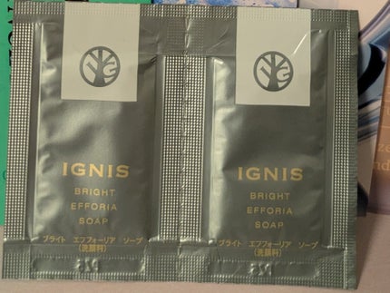 ブライト エフフォーリア マッサージ&クレンジング クリーム/IGNIS/クレンジングクリームを使ったクチコミ(2枚目)
