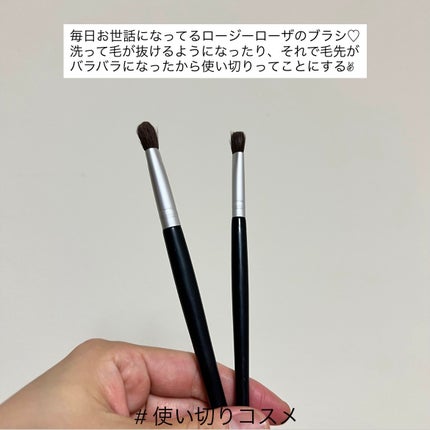 アイシャドウブラシセット/ロージーローザ/メイクブラシを使ったクチコミ(1枚目)