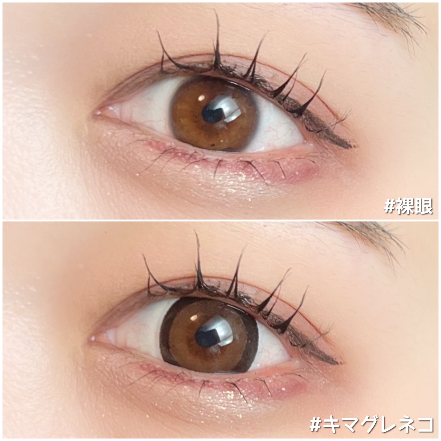 Flurry by colors 1day/Flurry by colors/ワンデー(1DAY)カラコンを使ったクチコミ(4枚目)