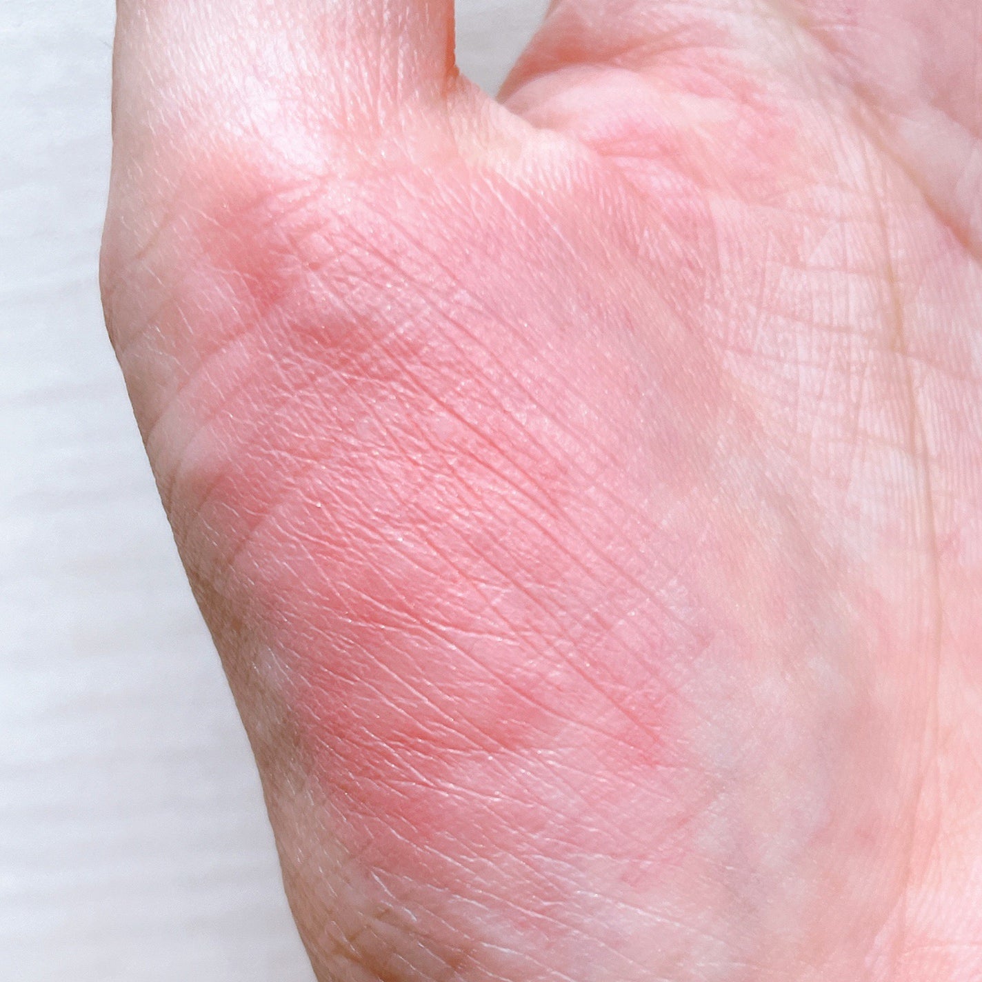 ユニコーンシリーズ チークブラッシュ/FlowerKnows/パウダーチークを使ったクチコミ(4枚目)