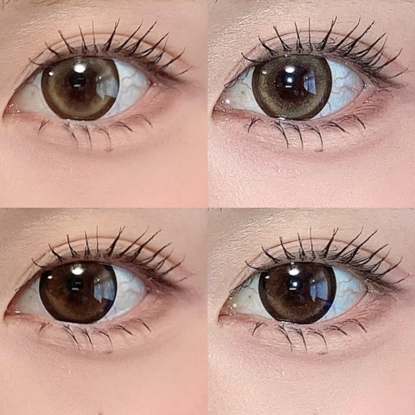 キャンディーマジック BLBワンデー/candy magic/ワンデー(1DAY)カラコンを使ったクチコミ(6枚目)