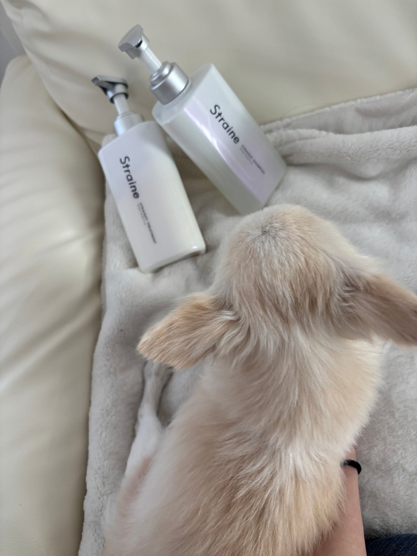 ストレートシャンプー/ストレートトリートメント/Straine/市販シャンプーを使ったクチコミ(9枚目)