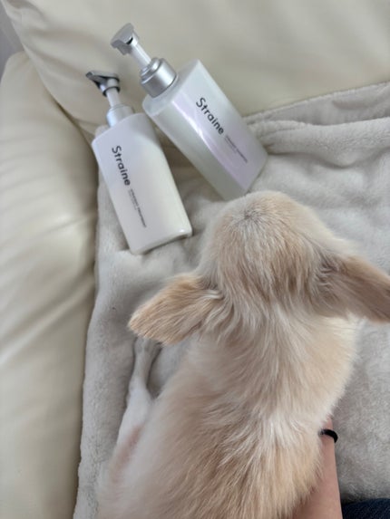 ストレートシャンプー/ストレートトリートメント/Straine/市販シャンプーを使ったクチコミ(9枚目)