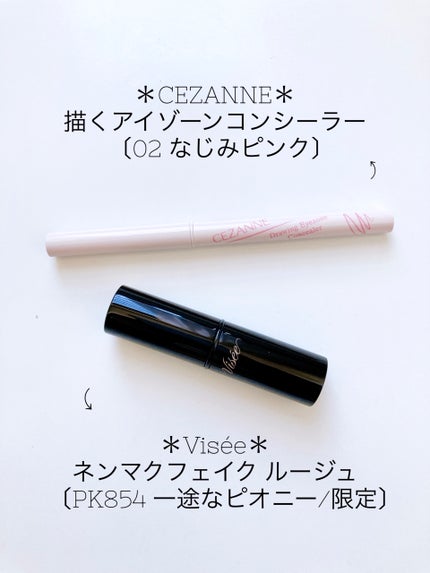 ネンマクフェイク ルージュ/Visée/口紅を使ったクチコミ(6枚目)
