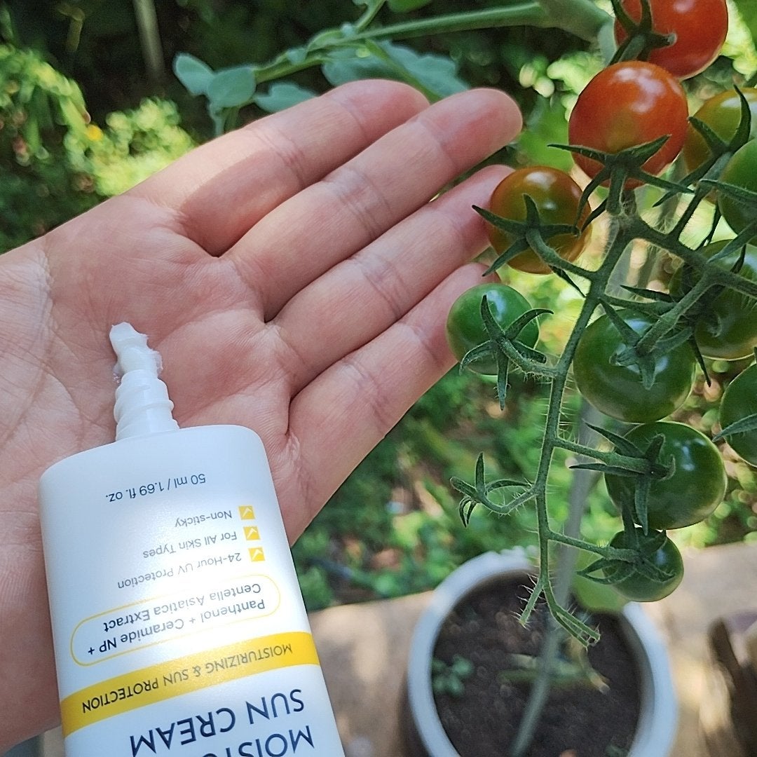 mcgroupakiko on LIPS 「今年の暑さは、長年続けていた毎日の山歩きを中断させるほどで、ク..」(2枚目)