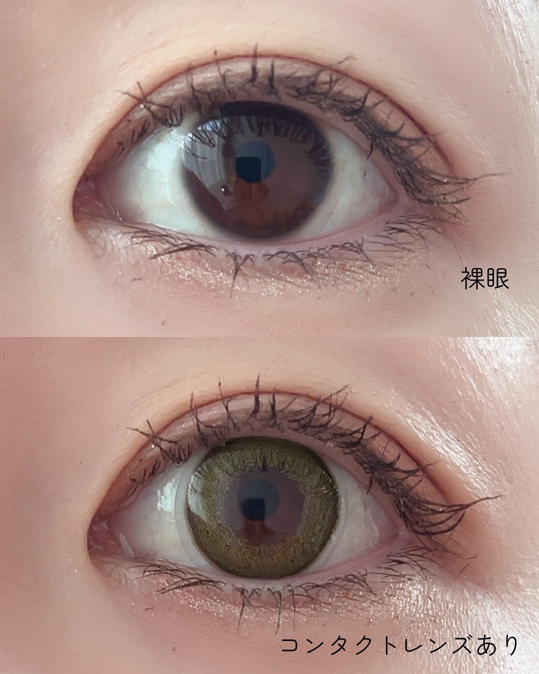 あん/韓国コスメ/フォロバ on LIPS 「一気に垢抜けるカラコン見つけた💚 @mimiclens_jp様..」(3枚目)