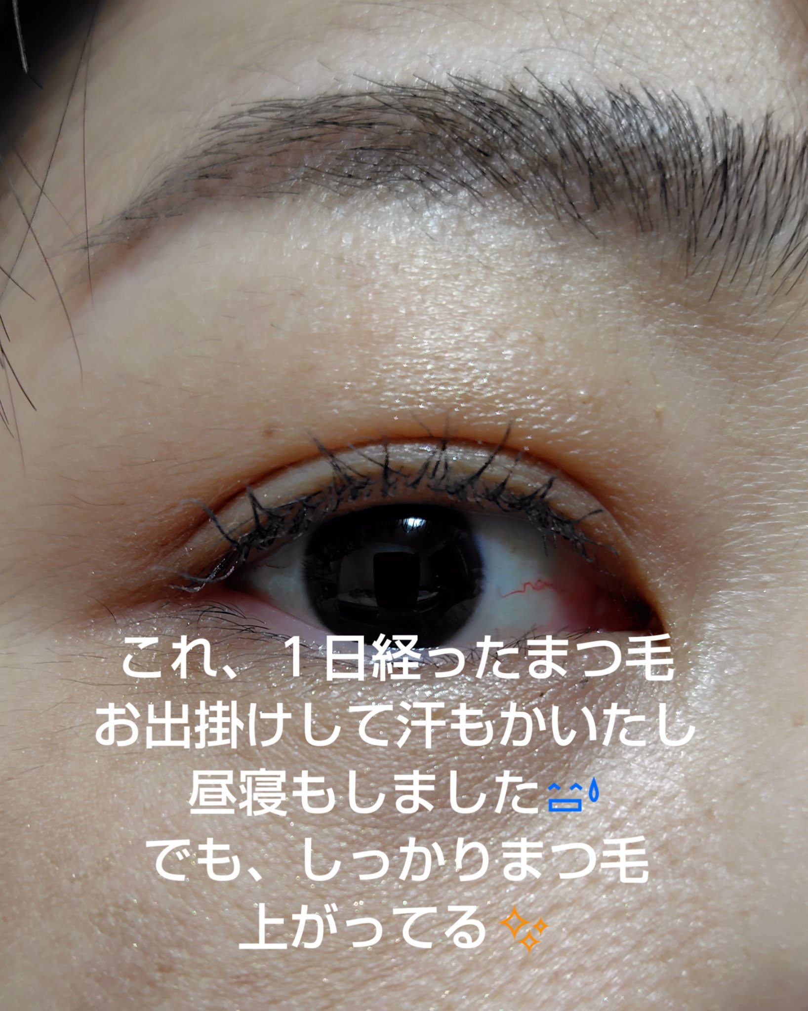 クイックラッシュカーラー/キャンメイク/マスカラ下地を使ったクチコミ（3枚目）