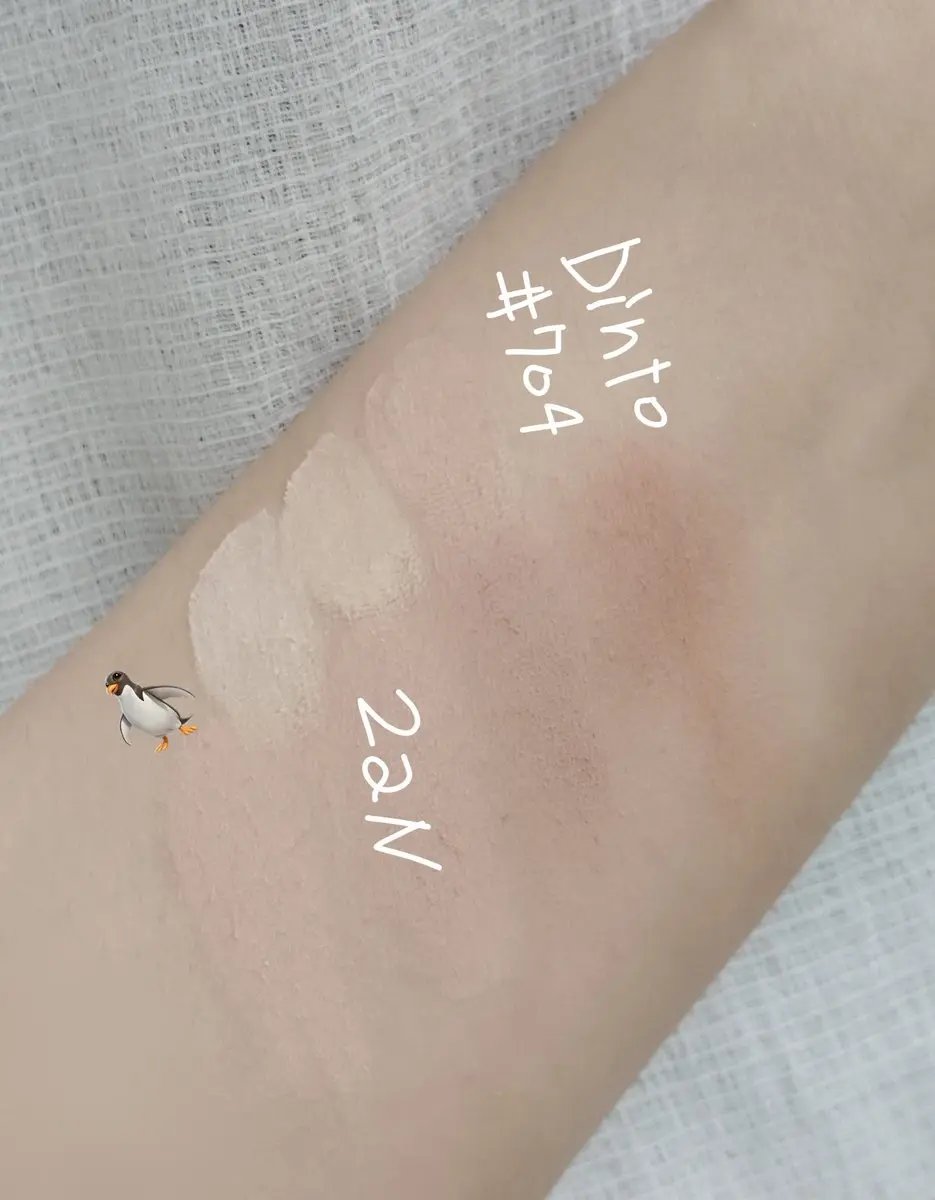 ブラーフィニシュシャドウパレット/Dinto/アイシャドウパレットを使ったクチコミ（2枚目）