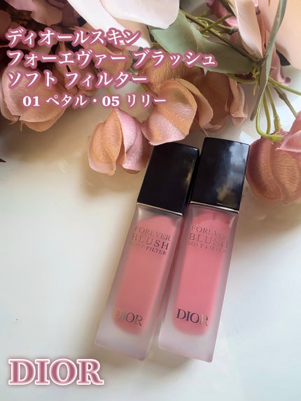 ディオールスキン フォーエヴァー ブラッシュ ソフト フィルター/Dior/チークを使ったクチコミ(3枚目)