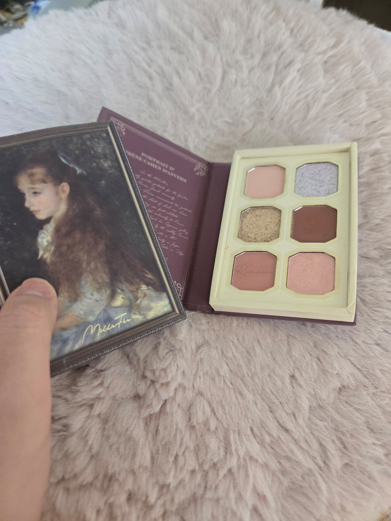 絵画アイシャドウパレット/MilleFée/アイシャドウパレットを使ったクチコミ（1枚目）