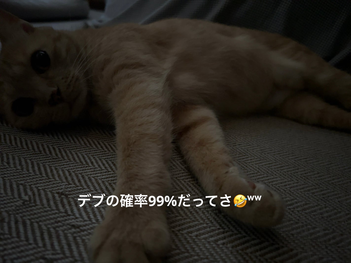 ðââ¬ã«ãããðŸ on LIPS ãæ©ãèµ·ããæã¯ã«ããããšçãã¿ã€ã ã«ããã®ãè¯ãã..ãïŒ2æç®ïŒ