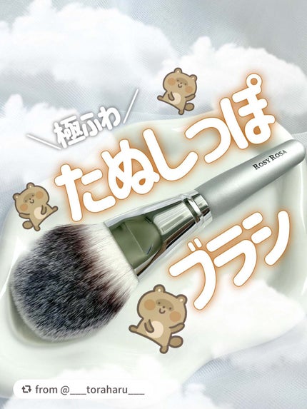 パウダーファンブラシ/ロージーローザ/メイクブラシを使ったクチコミ(1枚目)