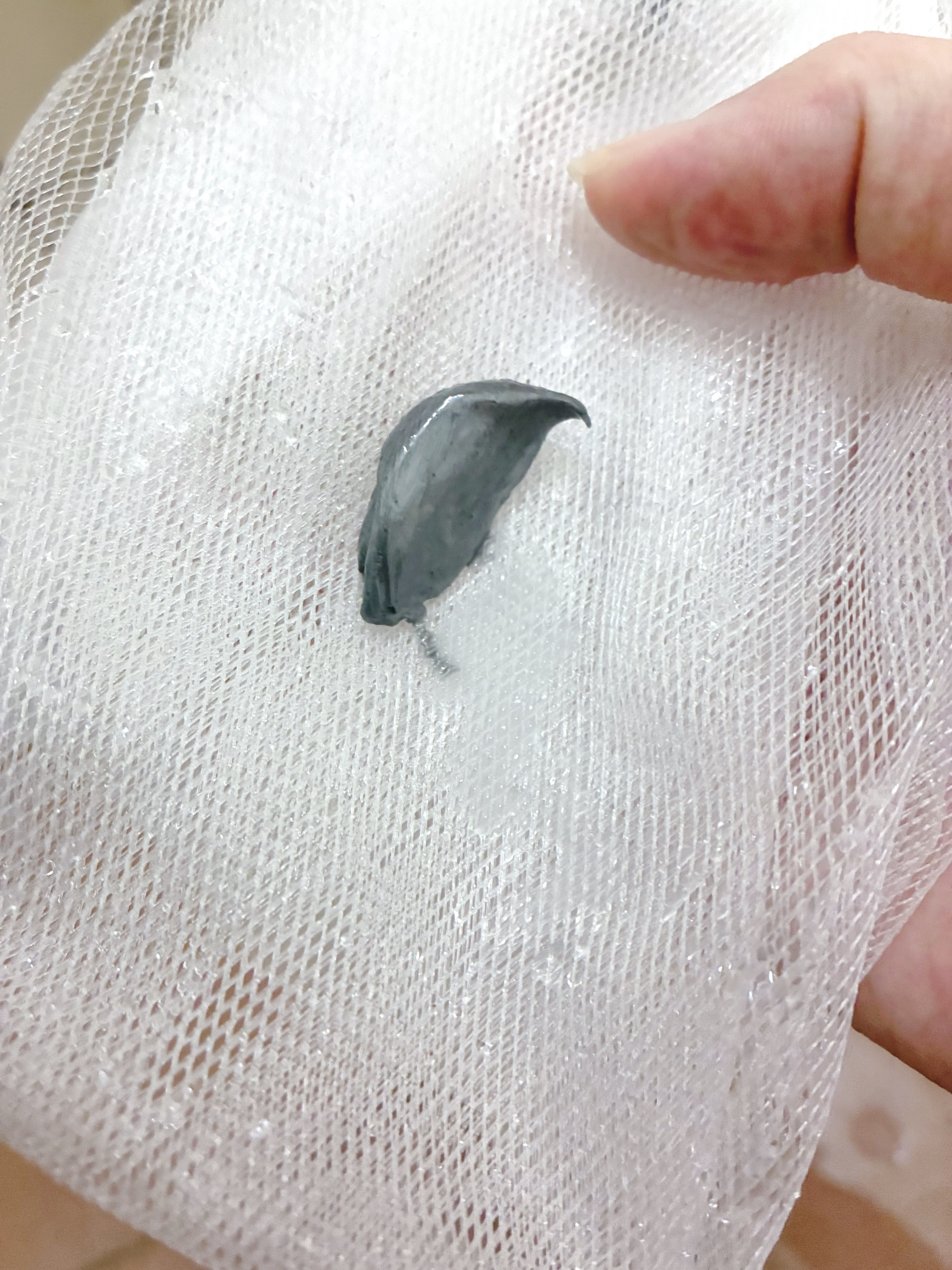 ポアクリア スクラブ ウォッシュ/ONE BY KOSE/洗顔フォームを使ったクチコミ（2枚目）