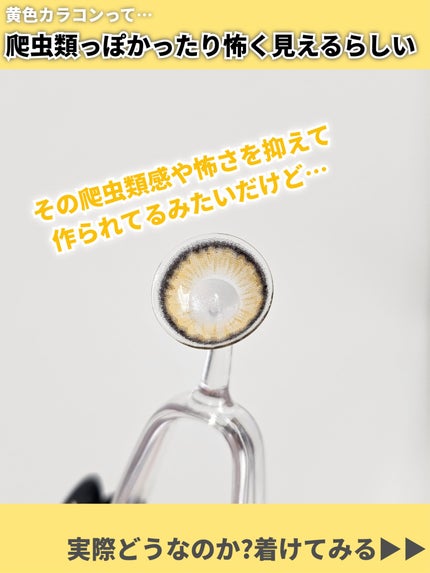 REFFiNE LiGHT 1day/REFFiNE LiGHT/ワンデー(1DAY)カラコンを使ったクチコミ(8枚目)