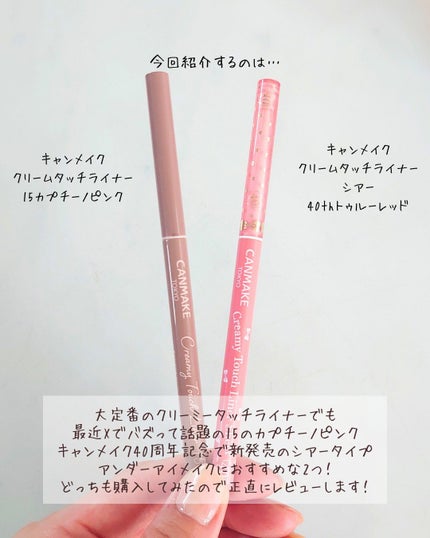 クリーミータッチライナー/キャンメイク/ジェルアイライナーを使ったクチコミ(2枚目)