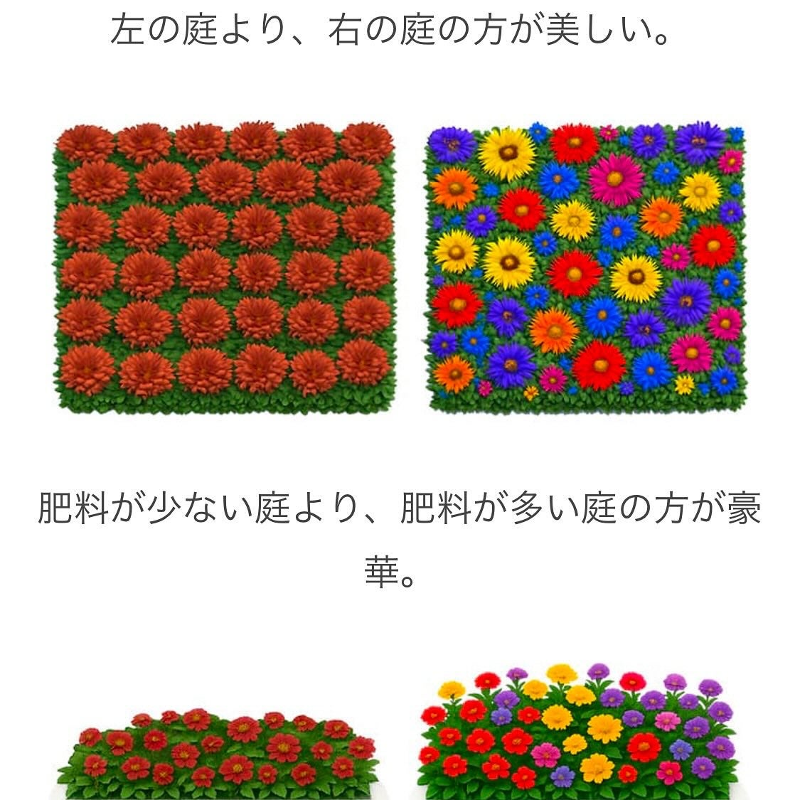 みり♡ on LIPS 「前回セブンデイズクリアでハマったドクターズチョイスから、ついに..」(4枚目)