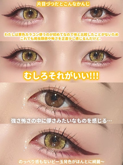 REFFiNE LiGHT 1day/REFFiNE LiGHT/ワンデー(1DAY)カラコンを使ったクチコミ(9枚目)