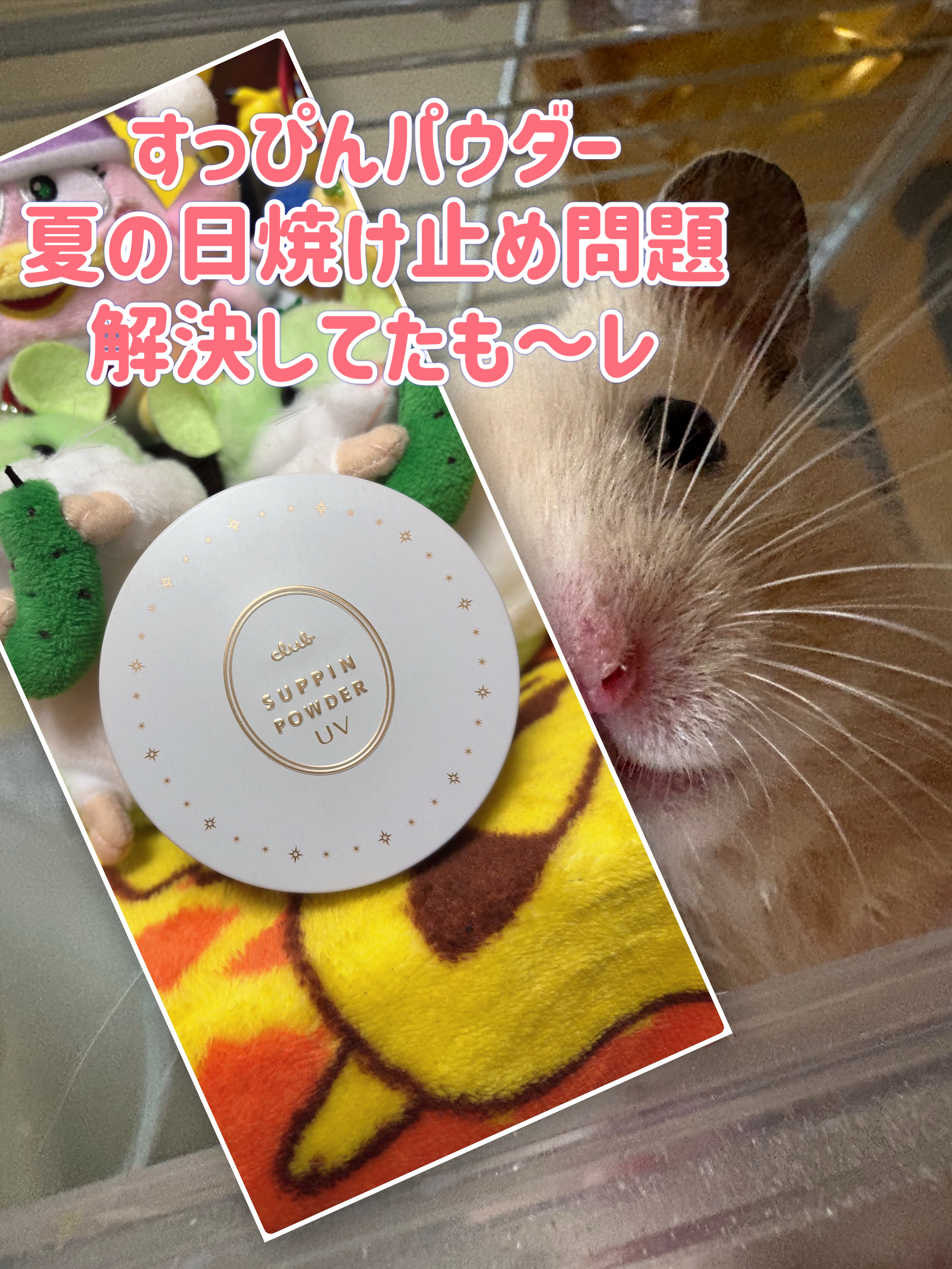 すっぴんパウダー UV/クラブ/日焼け止め・UVケアを使ったクチコミ（1枚目）