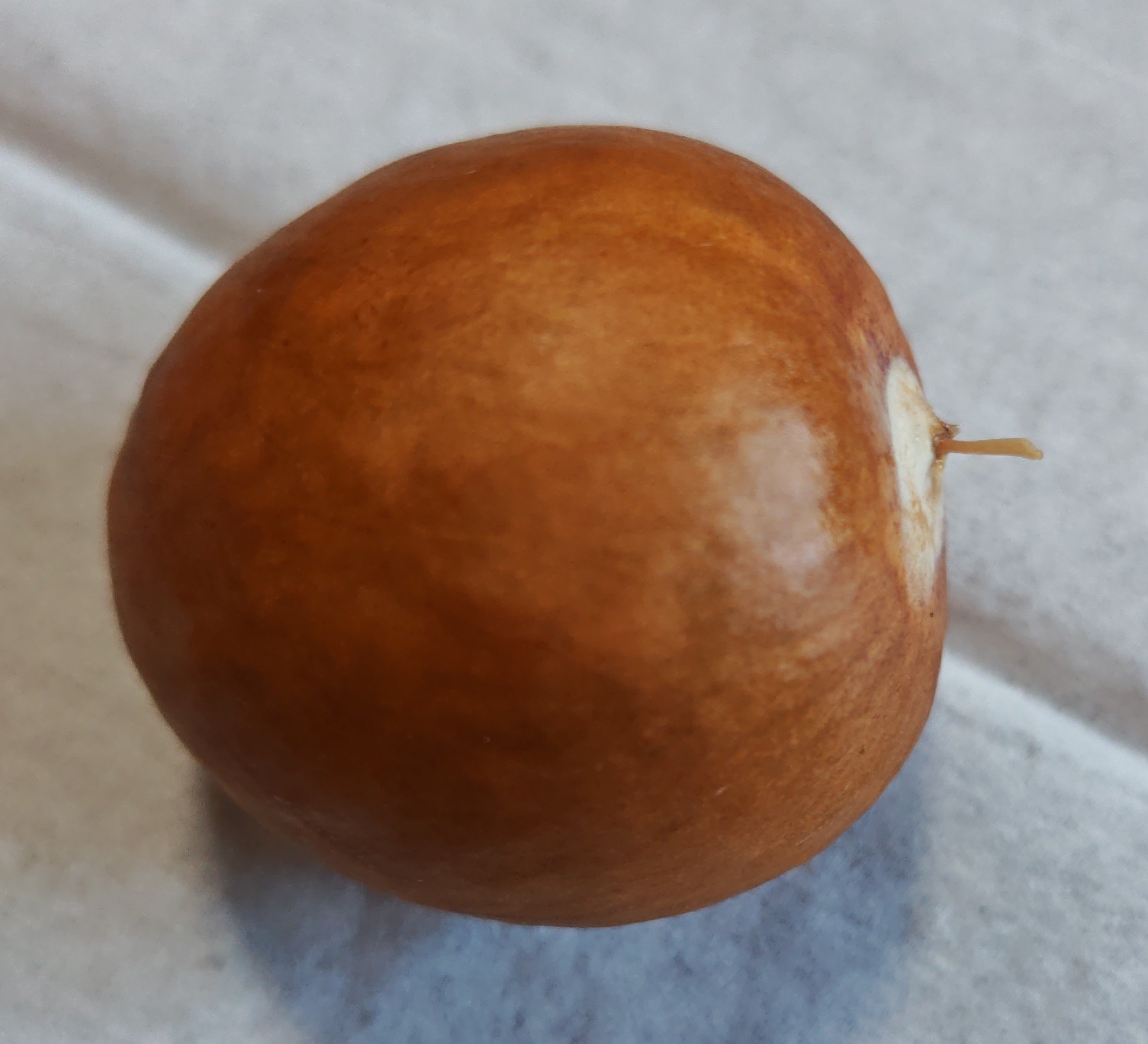 ガラス花瓶/DAISO/その他を使ったクチコミ（1枚目）