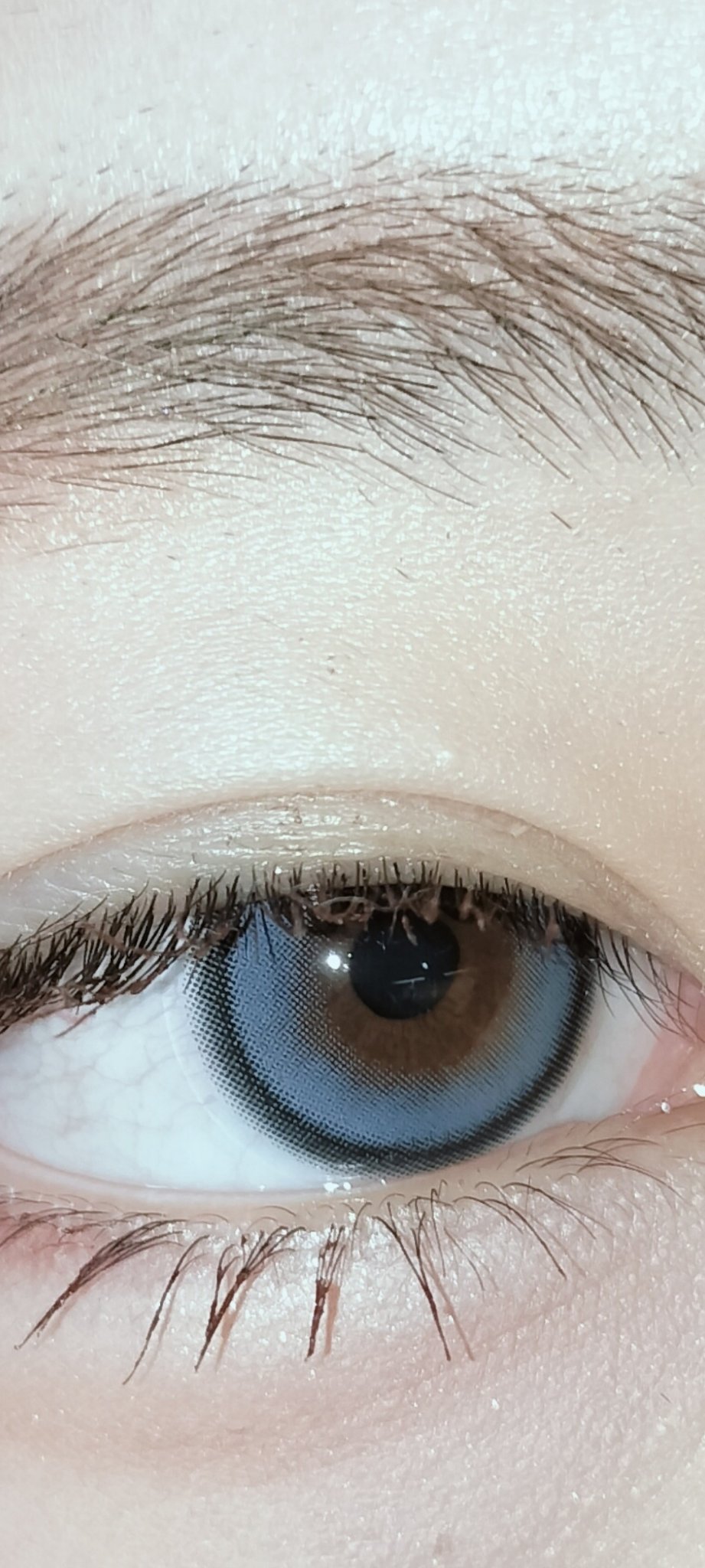 a-eye 1day ネクストブルー/Refrear/ワンデー（１DAY）カラコンを使ったクチコミ（1枚目）