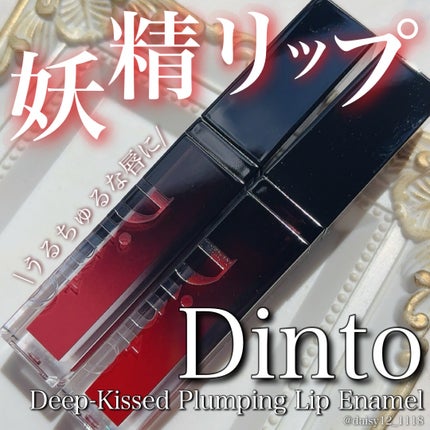 ディープキスド プランピング リップエナメル/Dinto/リップグロスを使ったクチコミ(1枚目)