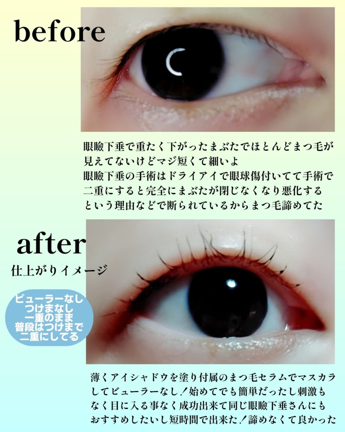 イージーアイラッシュリフトキット/COSNORI/その他キットセットを使ったクチコミ(6枚目)
