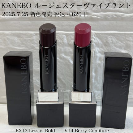 ルージュスターヴァイブラント/KANEBO/口紅を使ったクチコミ(2枚目)