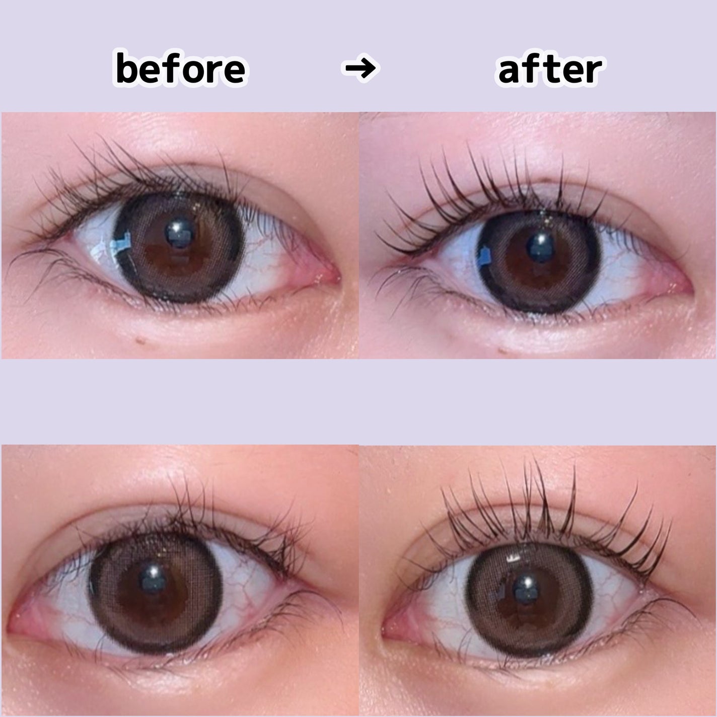 イージーアイラッシュリフトキット/COSNORI/その他キットセットを使ったクチコミ(4枚目)