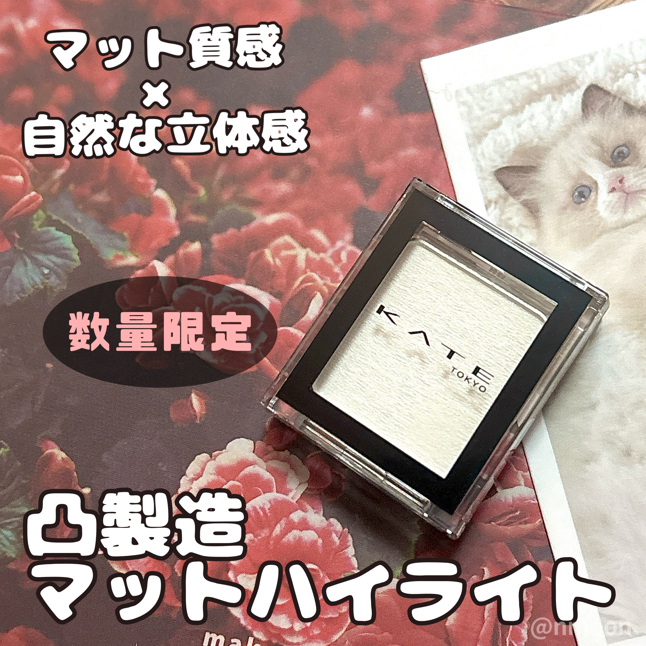 ケイト ザ アイカラー/KATE/単色アイシャドウを使ったクチコミ（1枚目）