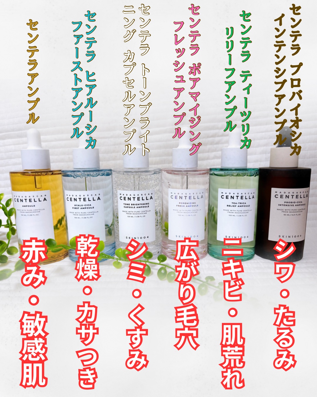 センテラ アンプル/SKIN1004/美容液を使ったクチコミ（2枚目）