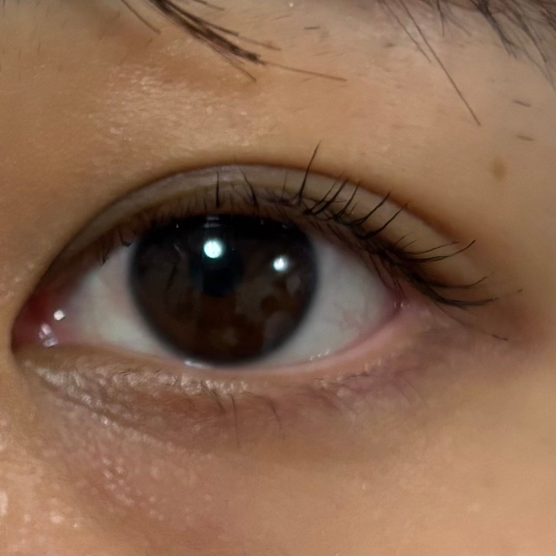 ロングアクティブアイラッシュセラム/COSNORI/まつげ美容液を使ったクチコミ(4枚目)