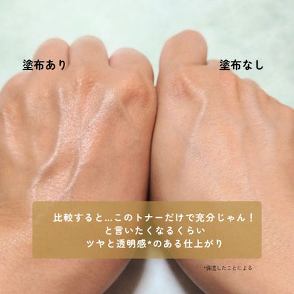 ライスピラーオイルトナー/HAYEJIN/化粧水を使ったクチコミ(5枚目)