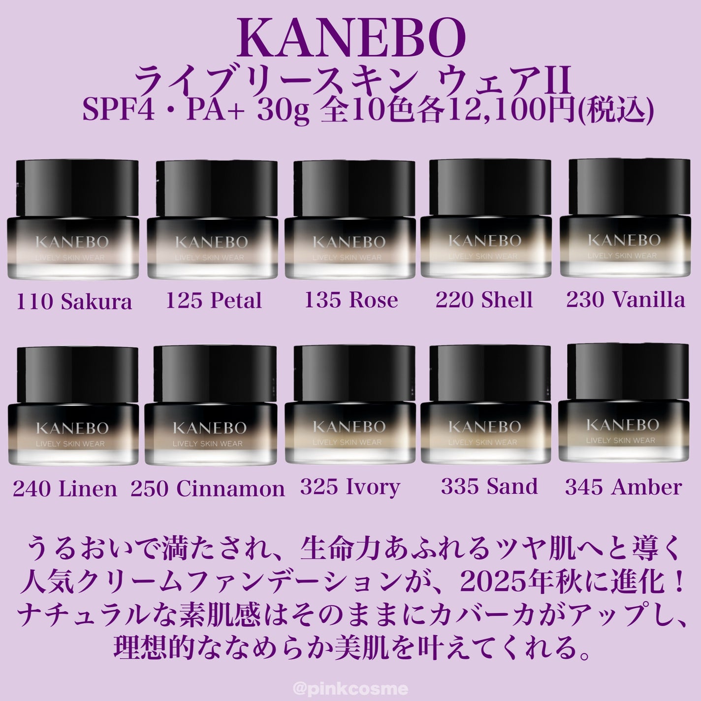 アディクション ザ ファンデーション リフトグロウ/ADDICTION/リキッドファンデーションを使ったクチコミ(2枚目)